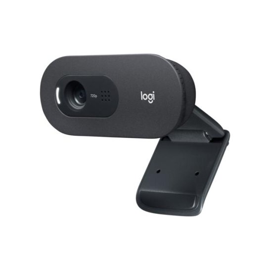 Logitech C505 HD Webcam