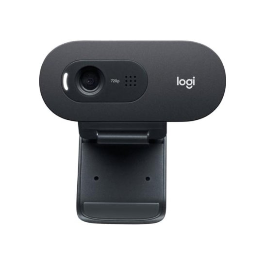 Logitech C505e webcam 1280 x 720 Pixels USB Zwart